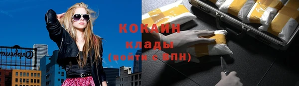 индика Гусиноозёрск