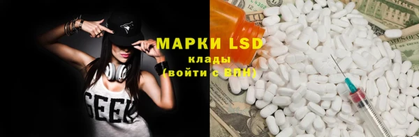 индика Гусиноозёрск