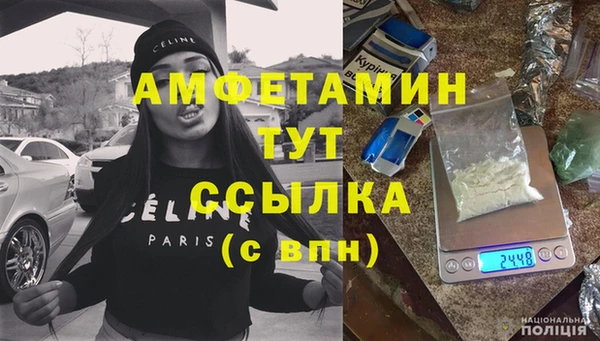 индика Гусиноозёрск