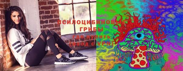 индика Гусиноозёрск