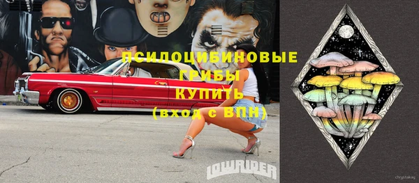 МДПВ Гусь-Хрустальный