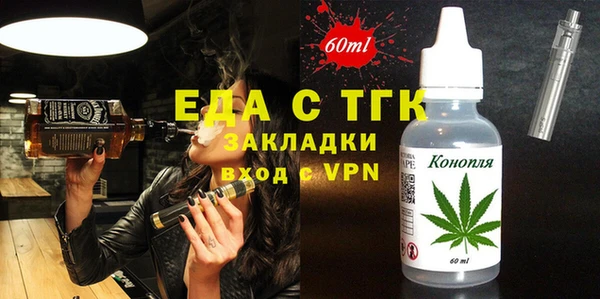 индика Гусиноозёрск