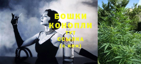 прущие крисы Гусев