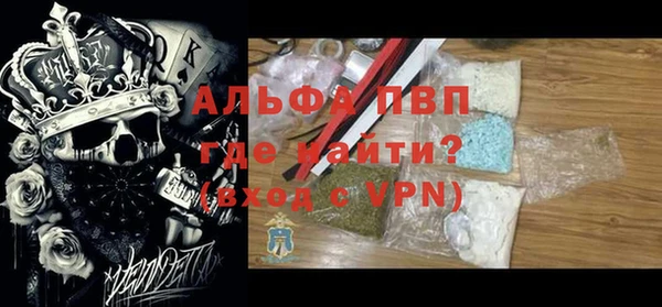 индика Гусиноозёрск