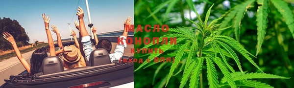 прущие крисы Гусев