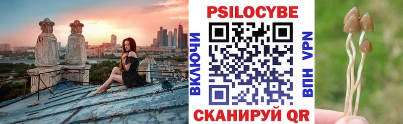 где найти наркотики  blacksprut ССЫЛКА  Галлюциногенные грибы прущие грибы  Жуков 